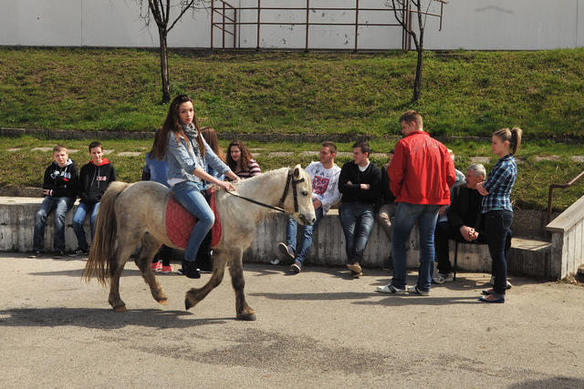 DBKN2013_107