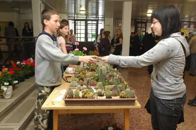 dbkn2011_0044