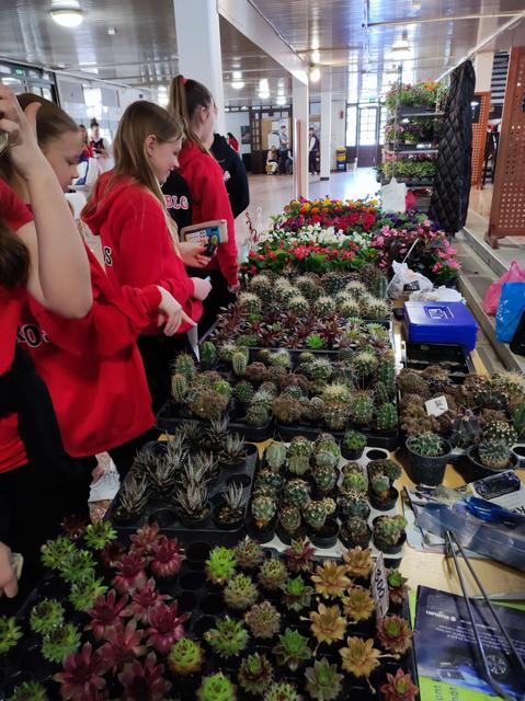 diakbiologus2024-094