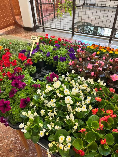 diakbiologus2024-097